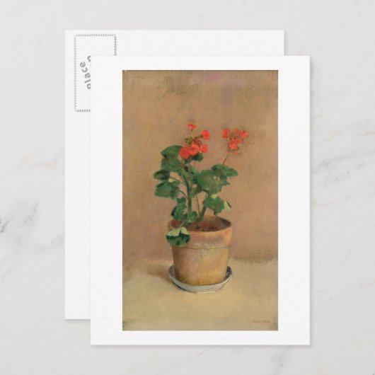 Geranien in Pot, c.1905 (Öl auf Leinwand) Postkarte (Vorne/Hinten)