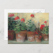 Geranien in Pots Postkarte (Vorne/Hinten)
