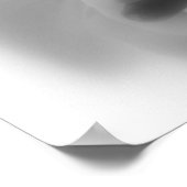Geranien in Schwarz und Weiß Poster (Ecke)