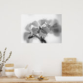 Geranien in Schwarz und Weiß Poster (Küche)