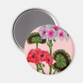 Geranien Magnet (Vorderseite/Rückseite)