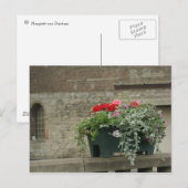 Geranien Postkarte (Vorne/Hinten)