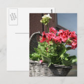 Geranien Postkarte (Vorne/Hinten)