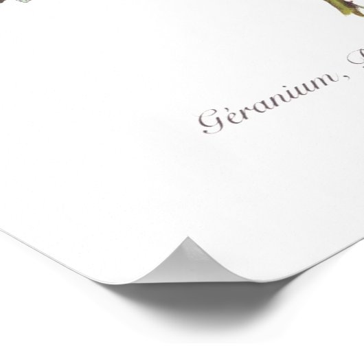 Geranien, Rose und Flachs Poster (Ecke)