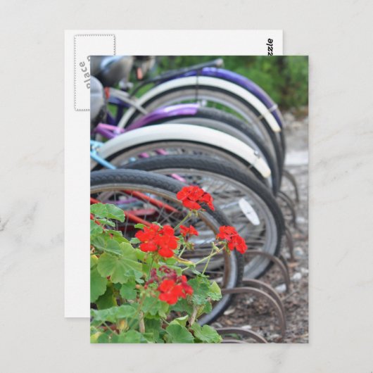 Geranien und Fahrräder Postkarte (Vorne/Hinten)