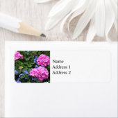 Geranien und Periwinkle (Insitu)