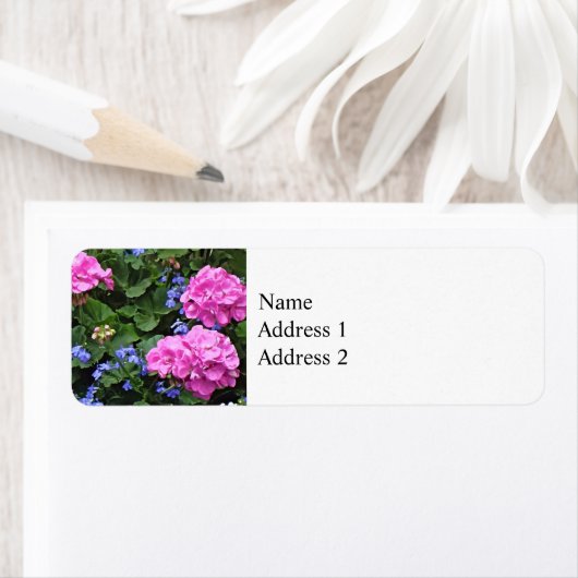 Geranien und Periwinkle (Insitu)