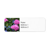 Geranien und Periwinkle (Vorne)