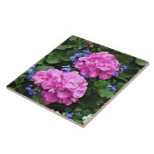 Geranien und Periwinkle Fliese (Seite)
