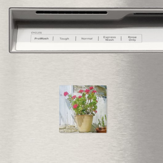 Geranine Magnet (In Situ (Geschirrspüler))