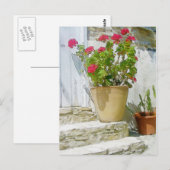 Geranine Postkarte (Vorne/Hinten)