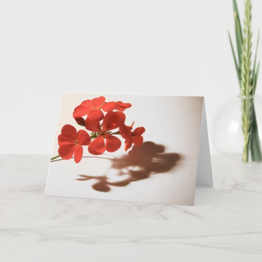 Geranium Blank Card Beileid Condolence Karte (Vorderseite)
