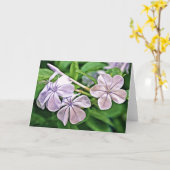 Geranium Blooms Scripture Card Ecclesiastes 3:1 Karte (Gelbe Blume)