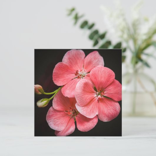 Geranium-Blume Karte (Stehend Vorderseite)