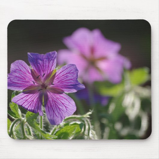 Geranium Blume Mousepad (Vorne)
