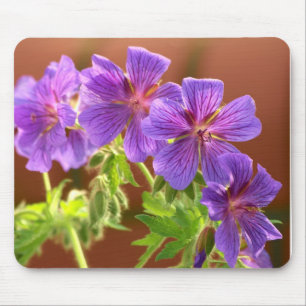 Geranium Blume Mousepad