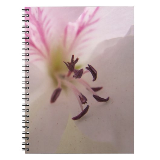 Geranium-Blume Notizblock (Vorderseite)