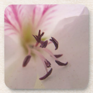 Geranium Blume Untersetzer