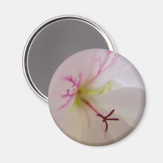 Geranium Center Magnet (Vorderseite/Rückseite)