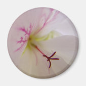 Geranium Center Magnet (Vorne)