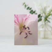 Geranium Center Postcard Postkarte (Stehend Vorderseite)