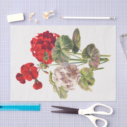 Geranium, Dcoupage Seidenpapier (Handwerk)