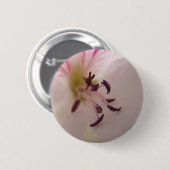 Geranium-Detail-Button Button (Vorne & Hinten)