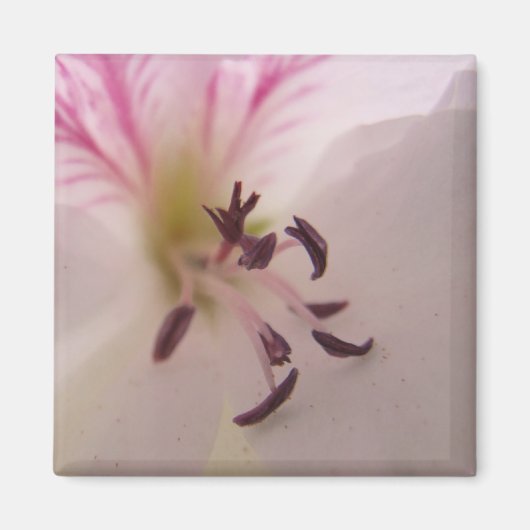Geranium Detail Magnet (Vorne)