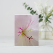 Geranium Detail Postkarte (Stehend Vorderseite)