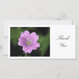Geranium Endressii - Danke