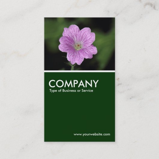 Geranium Endressii - Dunkelgrün Visitenkarte (Vorderseite)