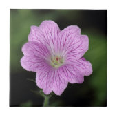 Geranium Endressii Fliese (Vorderseite)