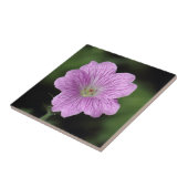 Geranium Endressii Fliese (Seite)