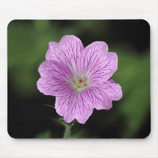 Geranium Endressii Mousepad (Vorne)