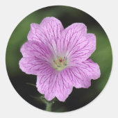 Geranium Endressii Runder Aufkleber (Vorderseite)