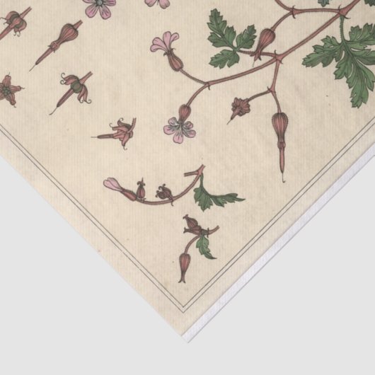 Geranium, Eugene Grasset Botany Serie Seidenpapier (Ausschnitt)