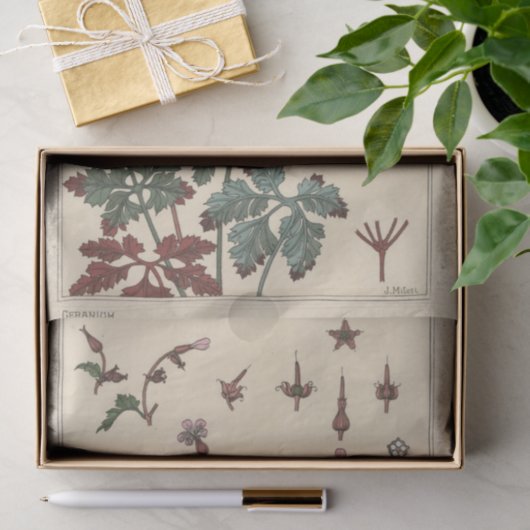 Geranium, Eugene Grasset Botany Serie Seidenpapier (Geschenk)