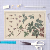 Geranium, Eugene Grasset Botany Serie Seidenpapier (Handwerk)