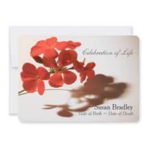 Geranium Feier zur Beerdigung des Lebens