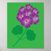 Geranium Flowers Poster (Vorne)