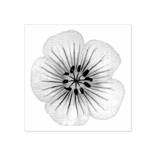 Geranium Garden Blume Fragile Gummistempel (Prägung)