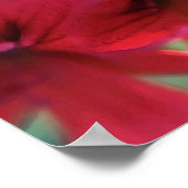 Geranium gestrichen poster (Ecke)