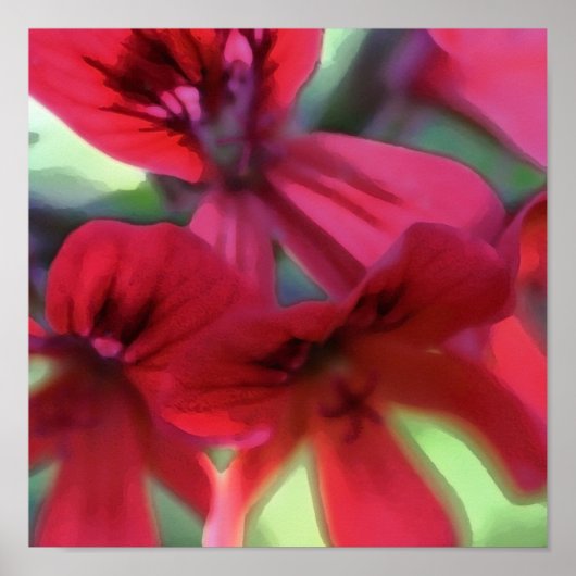 Geranium gestrichen poster (Vorne)