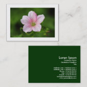 Geranium (grenzt) visitenkarte (Vorne/Hinten)