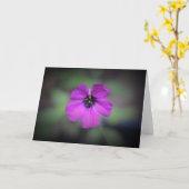 Geranium, Karte (Gelbe Blume)