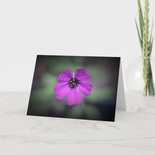 Geranium, Karte (Vorderseite)