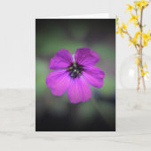 Geranium, Karte (Gelbe Blume)
