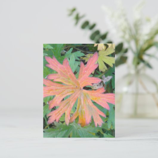 Geranium Leaf Postcard Postkarte (Stehend Vorderseite)