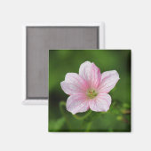 Geranium Magnet (Vorderseite/Rückseite)