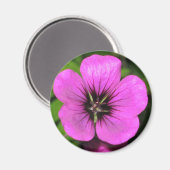 Geranium Magnet (Vorderseite/Rückseite)